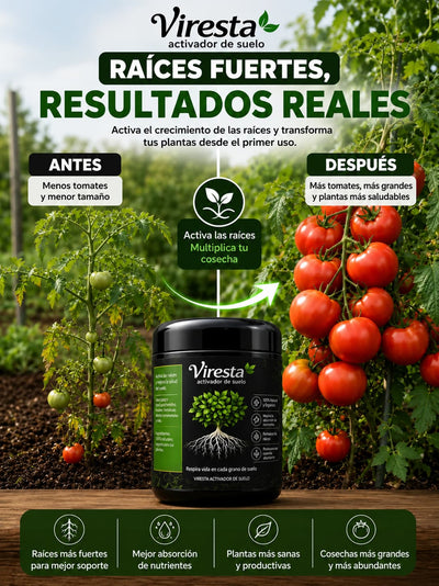 Viresta® – Bioestimulante vegetal | Promueve el crecimiento de las raíces y revitaliza el suelo