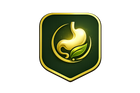 🌿 Bienestar digestivo