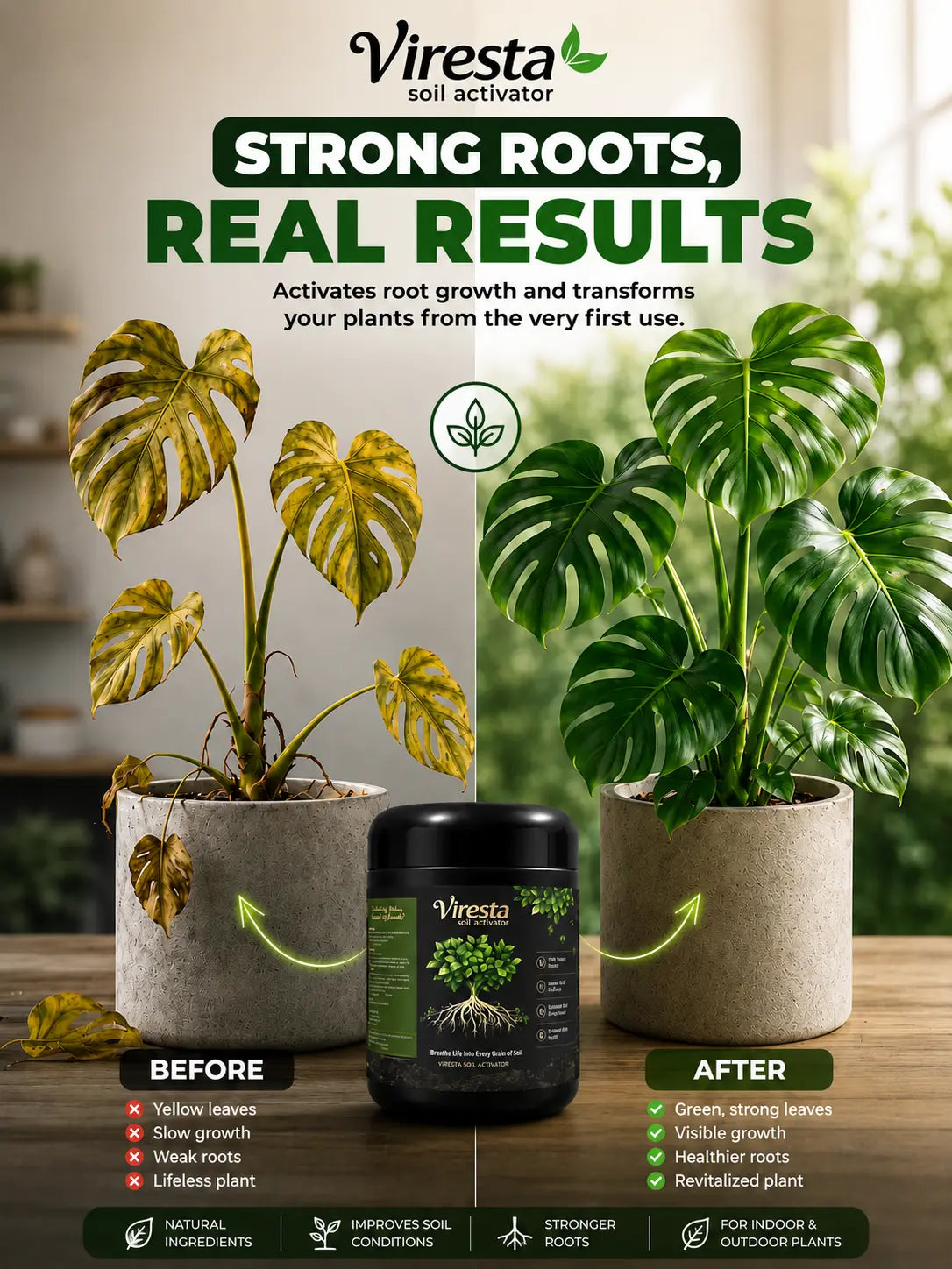Comparación de una planta de interior: a la izquierda hojas amarillas y crecimiento lento; a la derecha hojas verdes, grandes y firmes