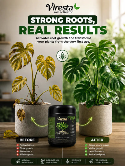 MAGNESIUM COMPLEX 8 IN 1