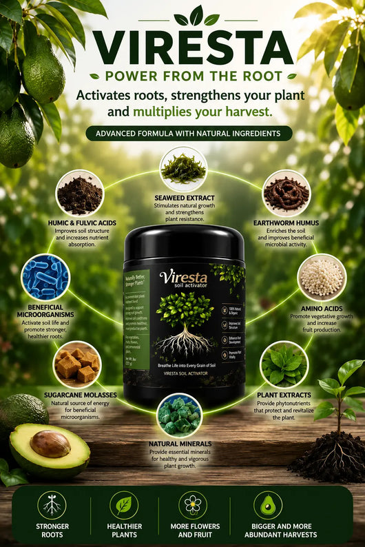 MAGNESIUM COMPLEX 8 IN 1