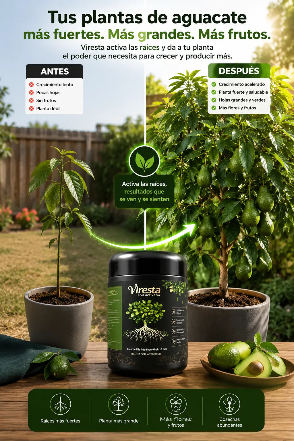 Viresta® – Bioestimulante para Plantas | Activa las Raíces y Revitaliza el Suelo