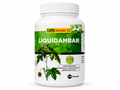 LIQUIDAMBAR® – Natural Herbal Digestive & Wellness Support