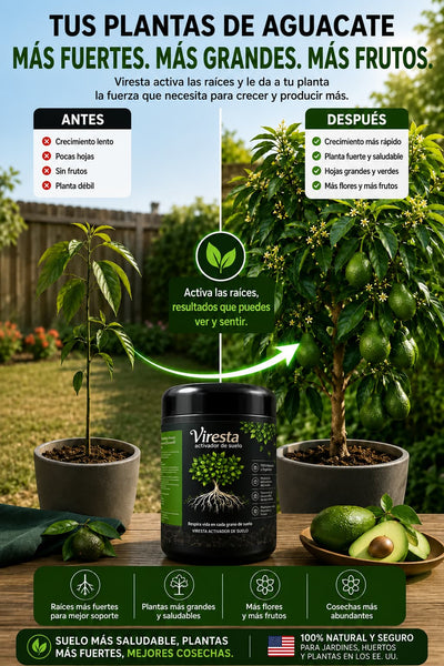 Viresta® – Bioestimulante vegetal | Promueve el crecimiento de las raíces y revitaliza el suelo